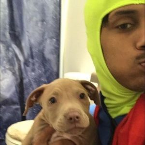 Meet your Posher, Xavier